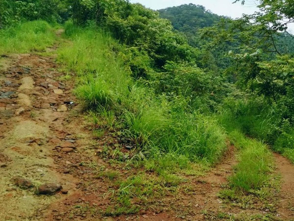 ഒരേ പോലുള്ള രണ്ടുവഴികൾ... ഏതു തിരഞ്ഞെടുക്കും?