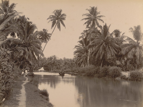 പന്മന