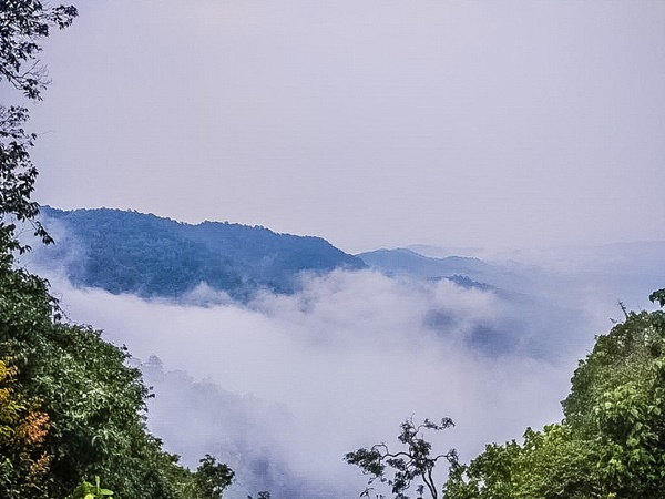 സുള്ള്യ