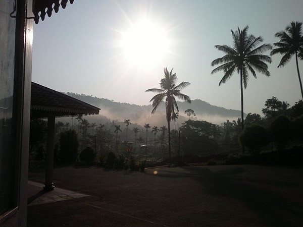 തേക്കടിയുടെ കവാടം