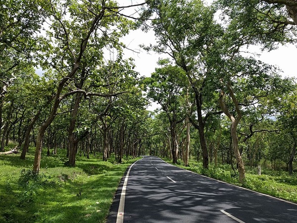 ബുക്ക് ചെയ്യുവാൻ