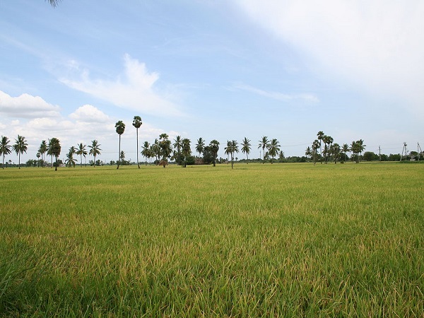 നെല്ലൂർ