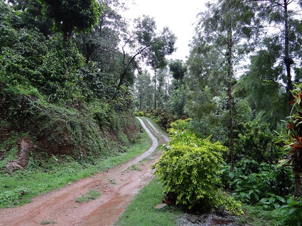 മടിക്കേരി