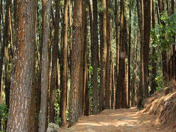 അമ്പലപ്പാറ