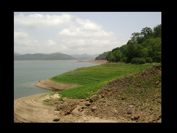 ഇരട്ടയാർ അണക്കെട്ട്