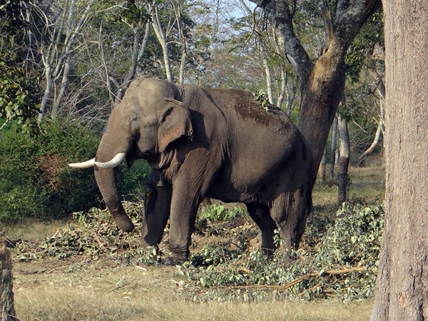 താമസിക്കുവാൻ