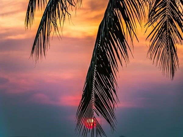 പുതുമയിലെ പഴമയുമായി പൽവാൽ