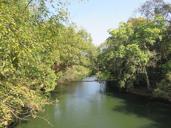 നിസർഗദാമ