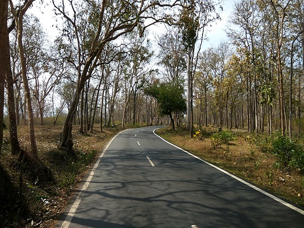 ഫോറസ്റ്റ് സഫാരി ഒഴിവാക്കരുത്