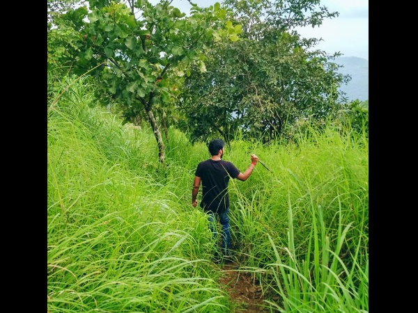ഒന്നും നോക്കേണ്ട.... അങ്ങു കയറിക്കോ....!!!