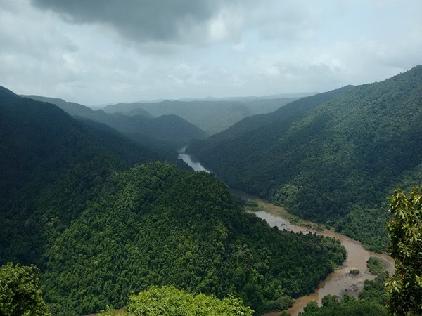ഡണ്ടേലിയെന്നാൽ
