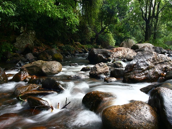 ഇടുക്കി