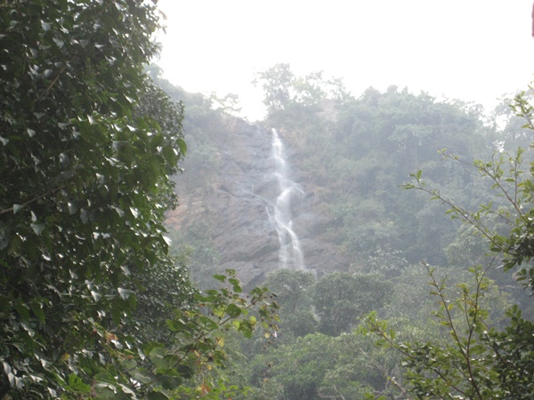 കാട്ടികി വെള്ളച്ചാട്ടം