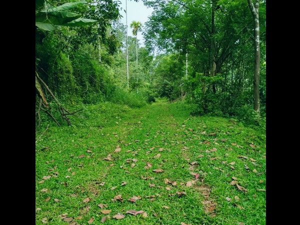 ഒട്ടും പ്ലാൻ ചെയ്യാത്ത ഒരു യാത്ര