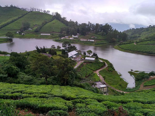 മേഘമല