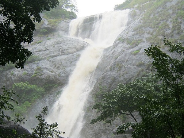 പാലരുവിയിലേക്ക്