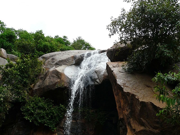 യേലാഗിരി