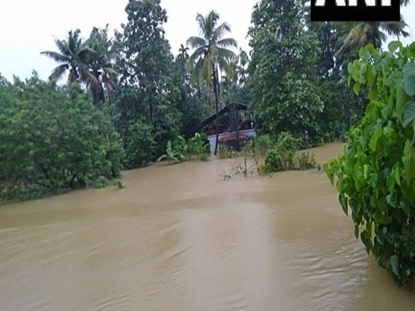 നിലമ്പൂർ