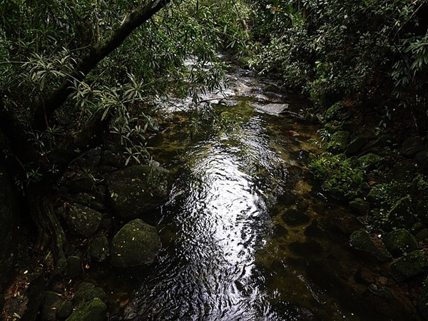 കരിയാത്തുംപാറ