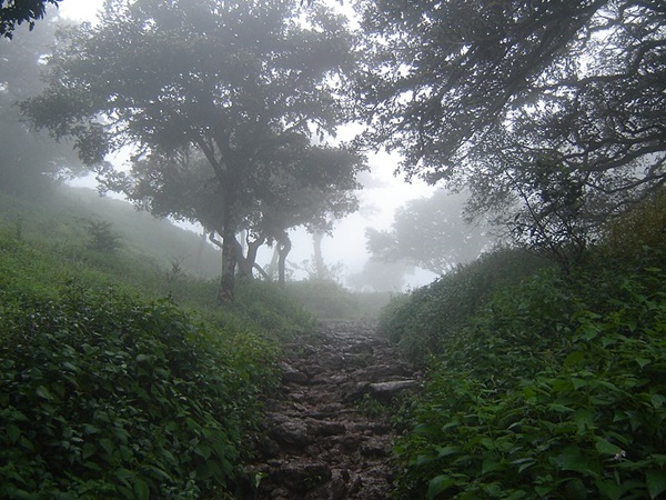 ദേശീയോദ്യാനത്തിനു നടുവിൽ
