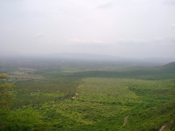 അഗസ്ത്യ പുരം