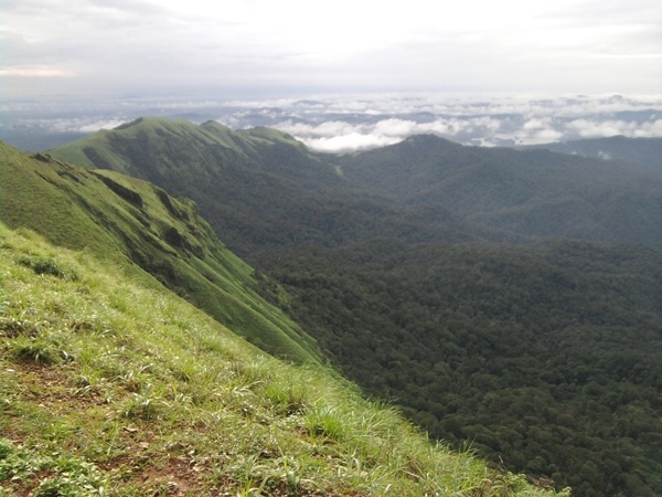 കാന്തശക്തിയുള്ള കല്ല്