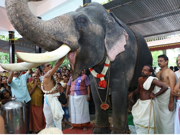 കഥയിലേക്ക്