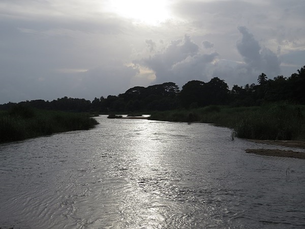 പട്ടാമ്പി