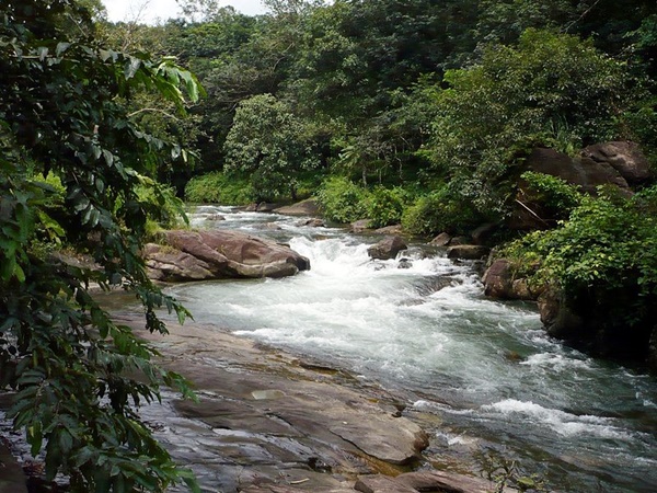 പട്ടണങ്ങള് പിന്നിട്ട്