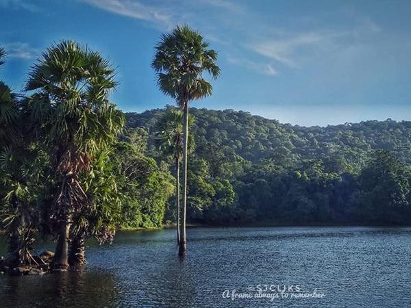അസുരൻകുണ്ട് അണക്കെട്ട്