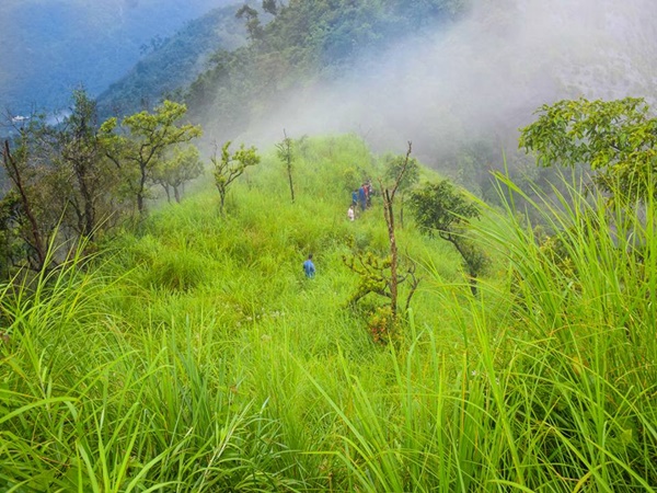 കാറ്റാടിക്കടവും മരതകമലയും