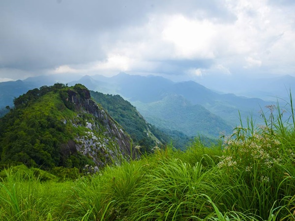 തീർന്നില്ല