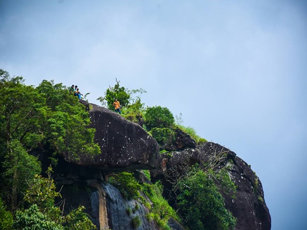 മരതകമല