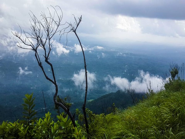 എത്തിച്ചേരാൻ
