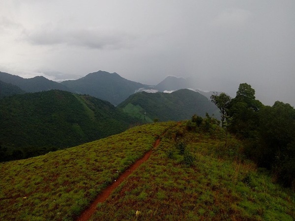 പൈതൽമല