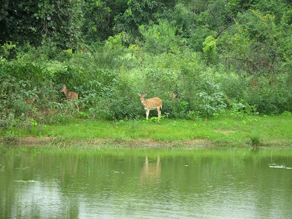 വനവിഹാർ