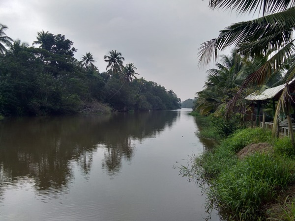 കുട്ടികൾക്കും മുതിർന്നവർക്കും