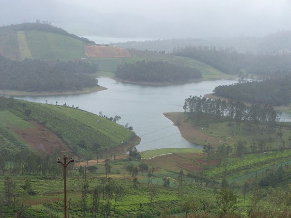 അവലാഞ്ചെ