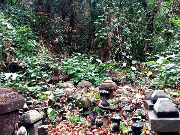 സർപ്പക്കാവ്