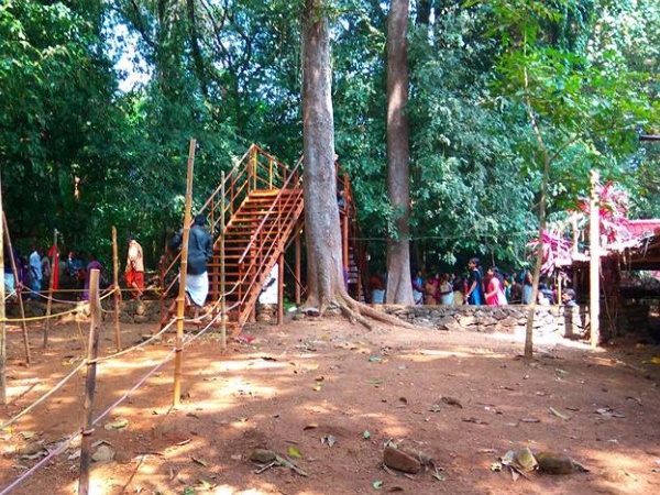 സന്ദര്ശിക്കുവാൻ