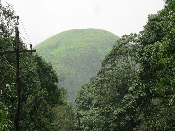 കാടിനുള്ളിലൂടെ കിലോമീറ്ററുകൾ