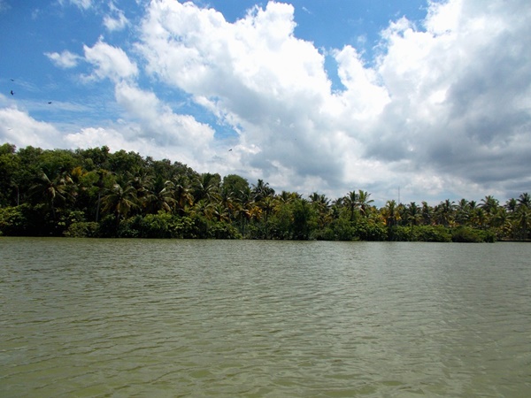 പാലോട്