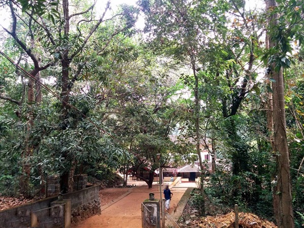 പാതിരിക്കുന്നത്ത് മന