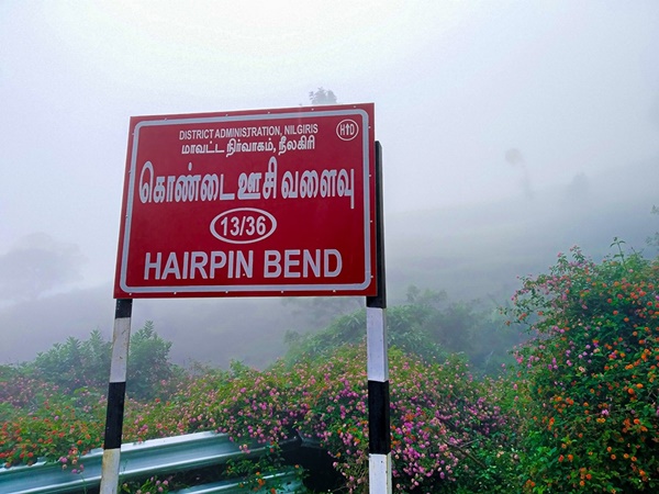 കൂടുതൽ ചിത്രങ്ങൾ കാണാം