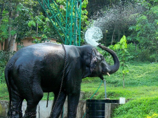 കാഴ്ച മാത്രമല്ല