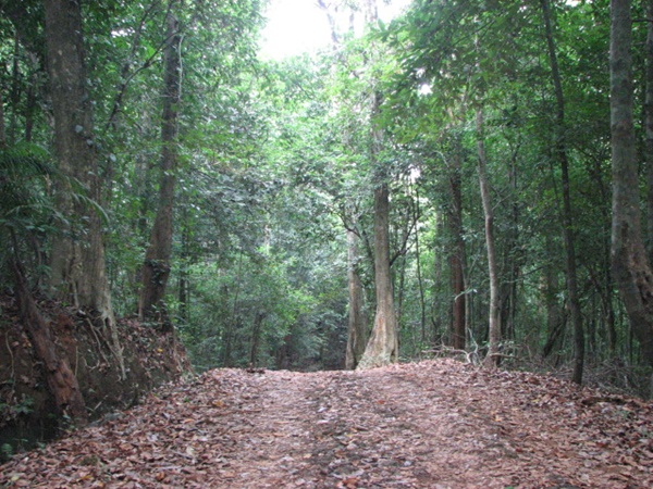 സന്ദര്ശിക്കുവാൻ പറ്റിയ സമയം