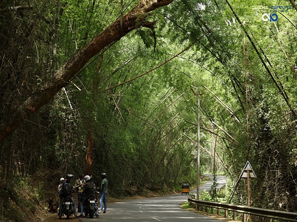 ബന്ദിപ്പൂർ ദേശീയോദ്യാനം