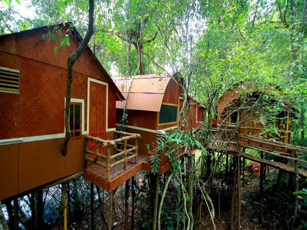 അടവി ബാംബൂ ഹൗസ്