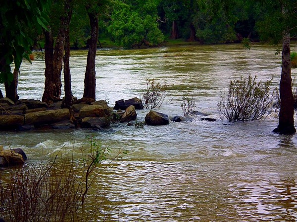 ദുബാരെ