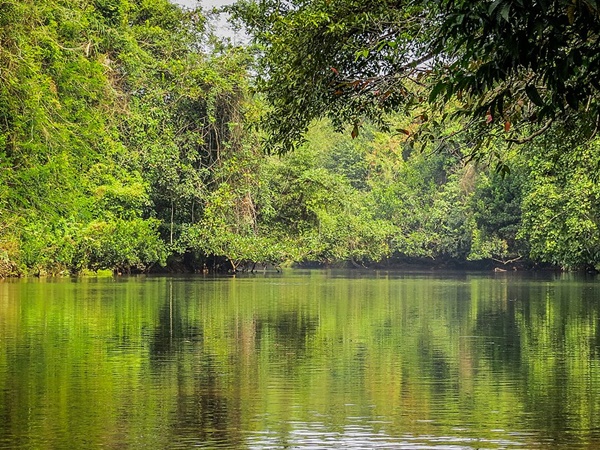 ഒരു പകൽ